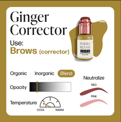 GINGER CORRECTOR - PERMA BLEND LUXE